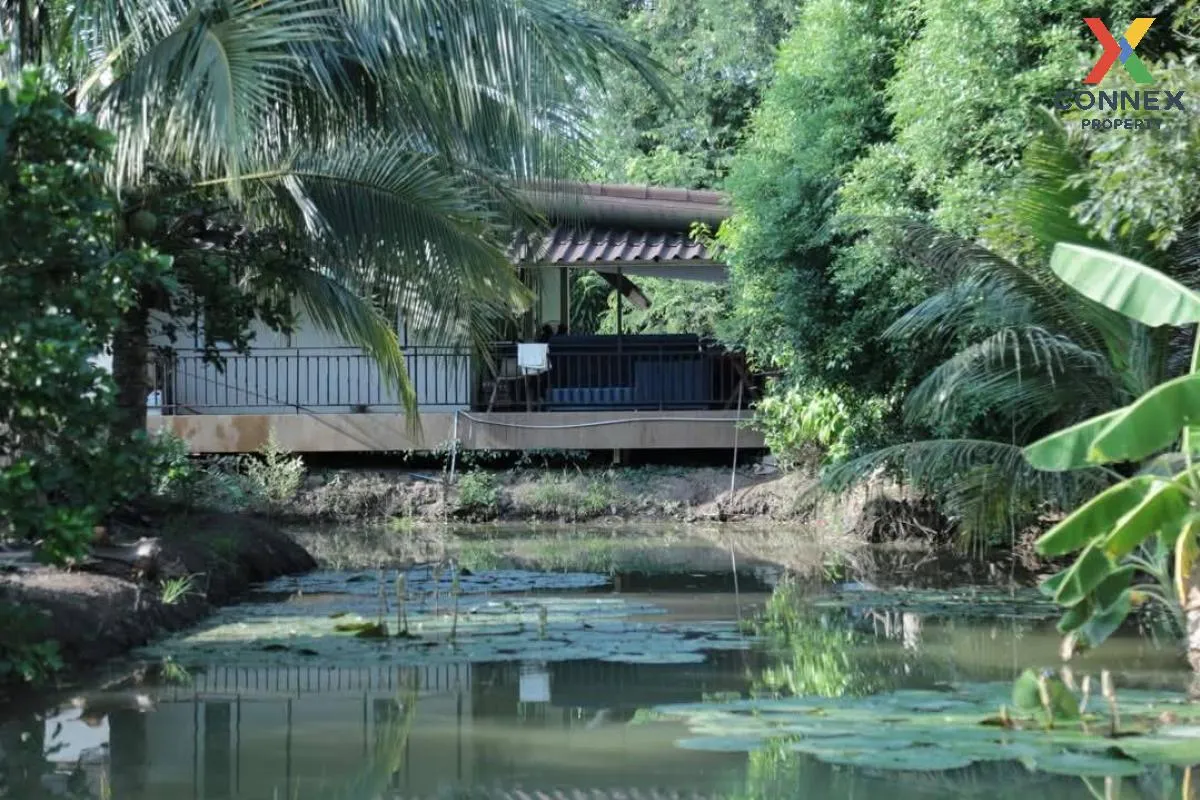 ขายบ้านพร้อมสวนมะพร้าว ราชบุรี คูบัว เมืองราชบุรี ราชบุรี CX-1171 3