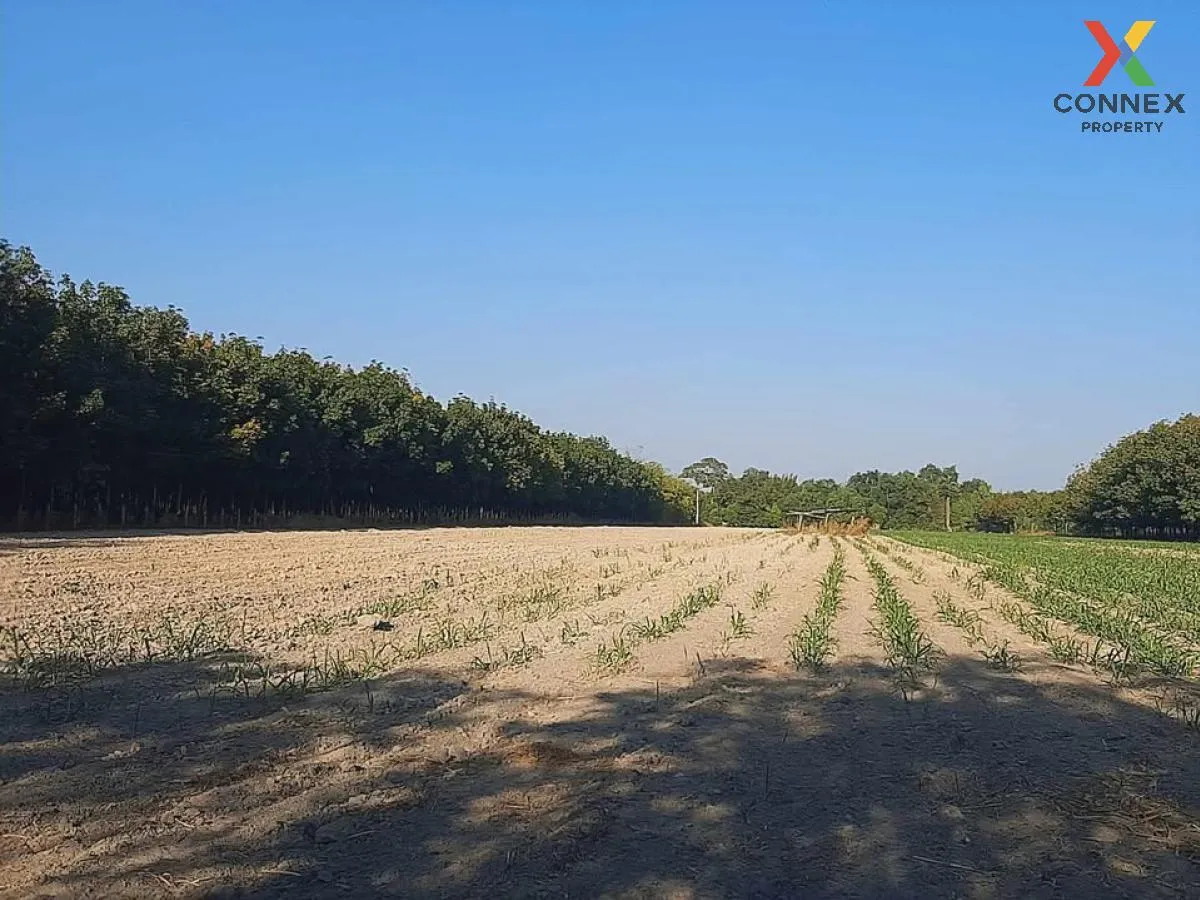 ขายที่ดินเปล่า บ้านนากอก บ้านนา นิคมคำสร้อย มุกดาหาร CX-117207 1