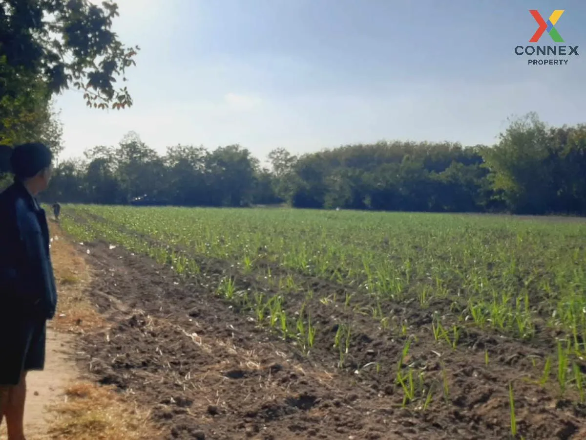 ขายที่ดินเปล่า บ้านนากอก บ้านนา นิคมคำสร้อย มุกดาหาร CX-117207 2