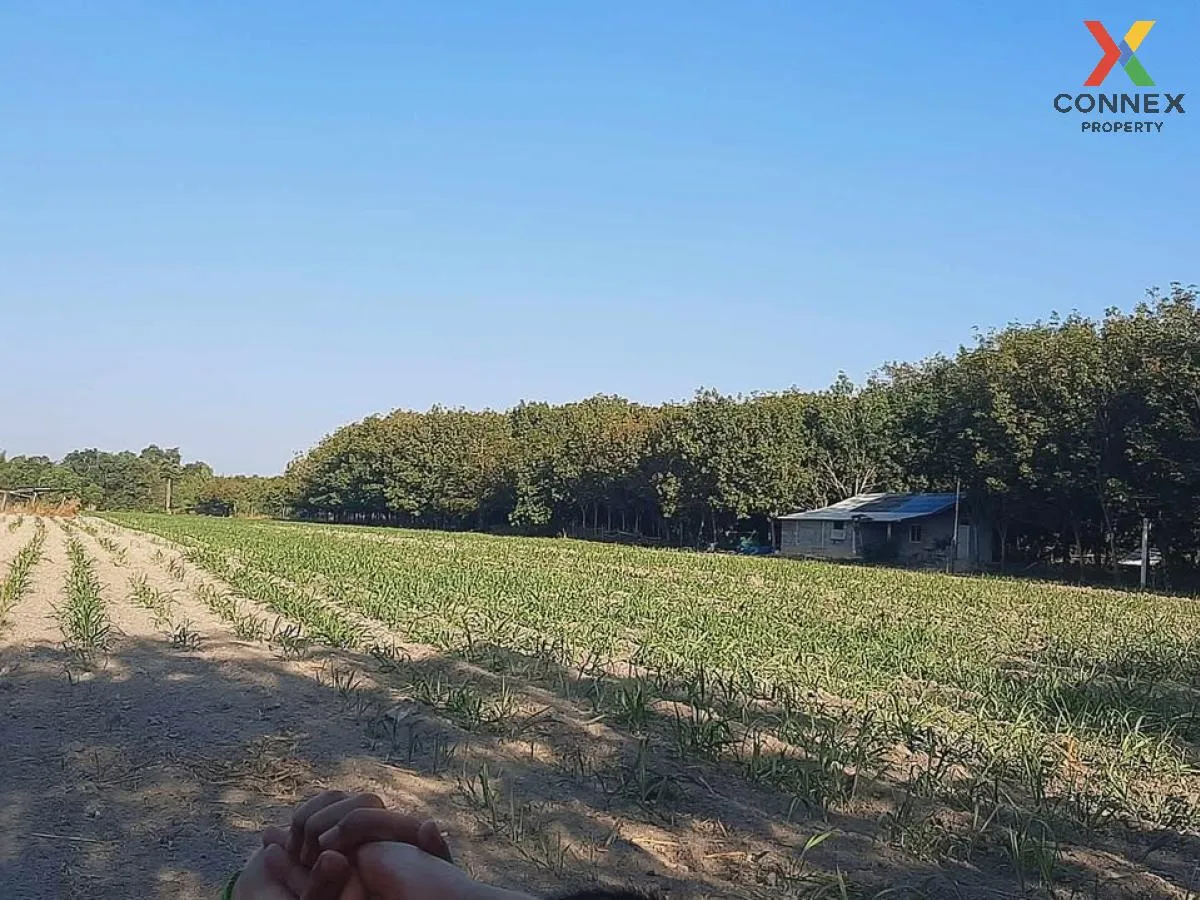 ขายที่ดินเปล่า บ้านนากอก บ้านนา นิคมคำสร้อย มุกดาหาร CX-117207 3