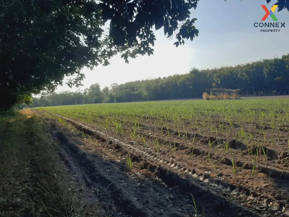 ขายที่ดินเปล่า บ้านนากอก บ้านนา นิคมคำสร้อย มุกดาหาร CX-117207 4