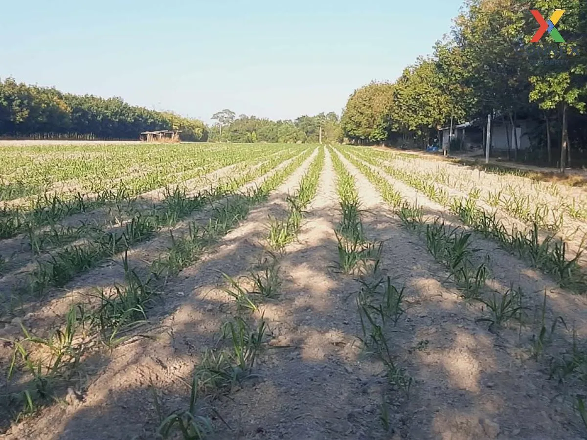 ขายที่ดินเปล่า บ้านนากอก บ้านนา นิคมคำสร้อย มุกดาหาร CX-117207