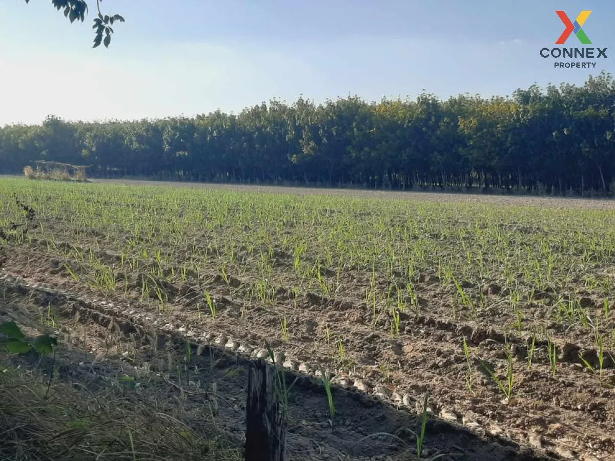 ขายที่ดินเปล่า บ้านนากอก บ้านนา นิคมคำสร้อย มุกดาหาร CX-117207
