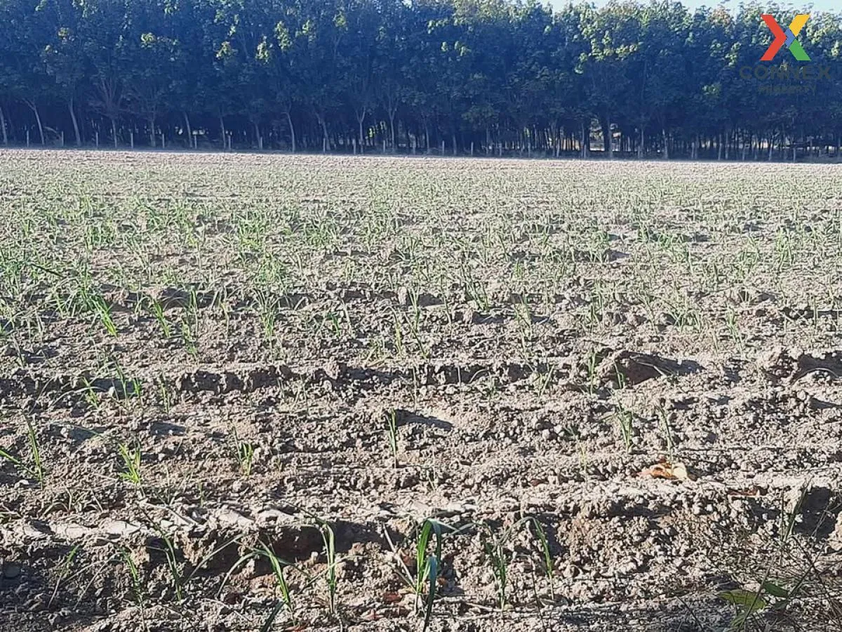 ขายที่ดินเปล่า บ้านนากอก บ้านนา นิคมคำสร้อย มุกดาหาร CX-117207