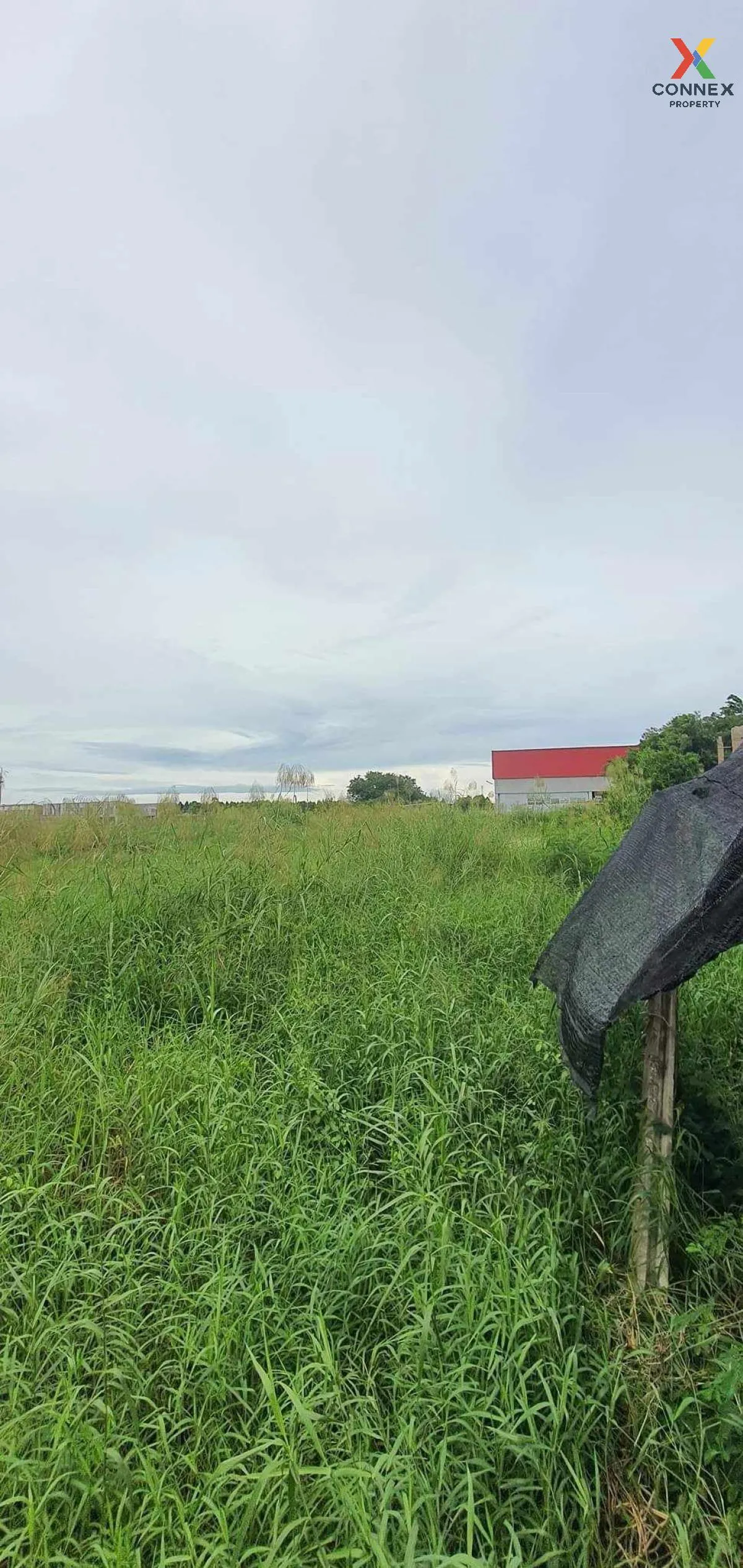 For Sale Vacant land in front of Thai Watsadu, Siri Sothon Road , 1