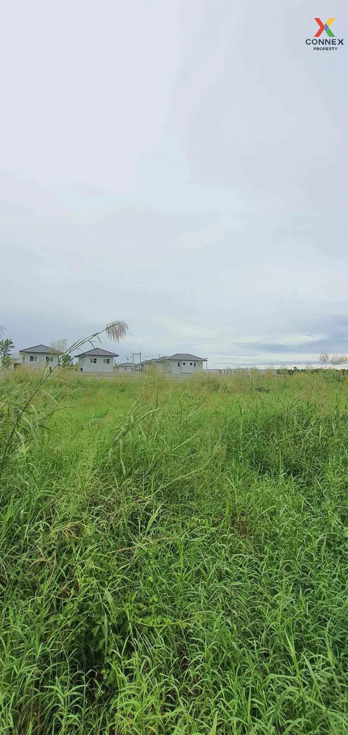 For Sale Vacant land in front of Thai Watsadu, Siri Sothon Road , 2
