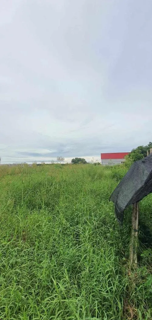 For Sale Vacant land in front of Thai Watsadu, Siri Sothon Road , Sothon , Mueang Chachoengsao , Chachoengsao , CX-117796