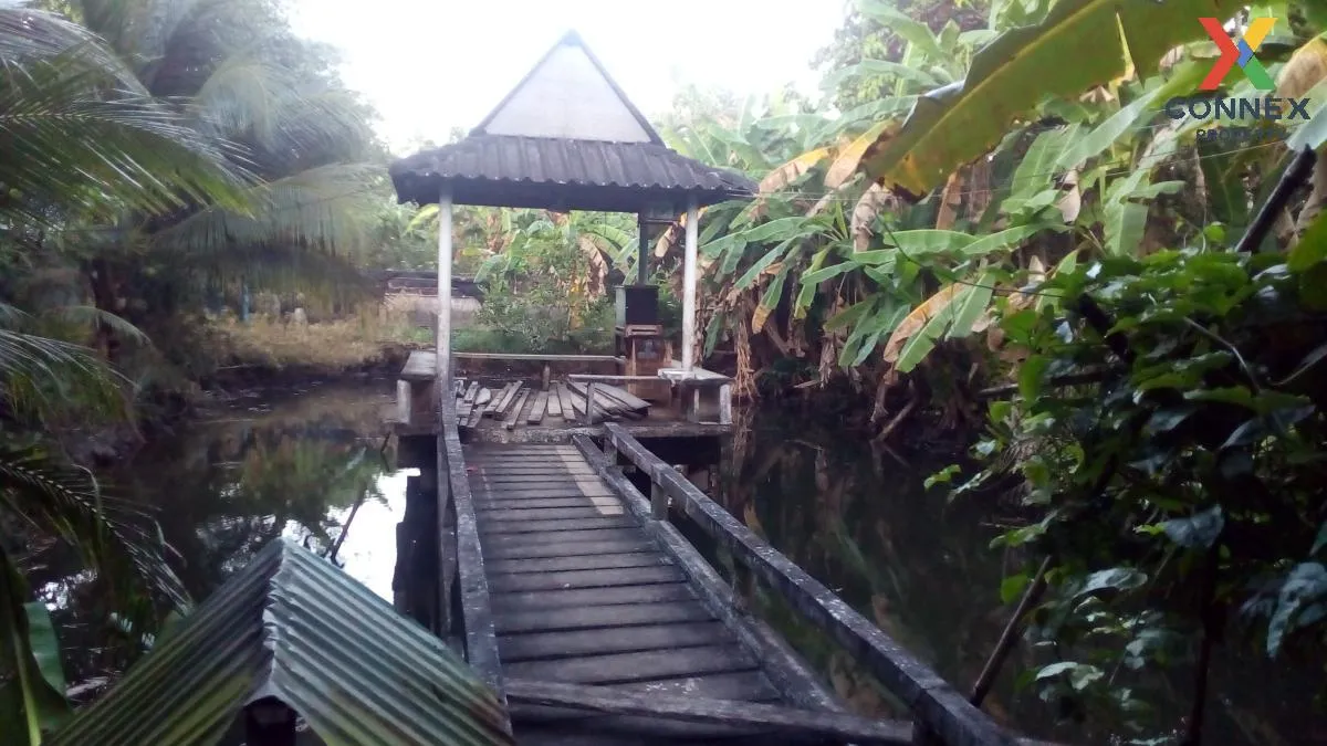 ขายบ้านเดี่ยว 2 ชั้น  ริมน้ำ ซอยชนเกษม 43 มะขามเตี้ย เมืองสุราษฎร ขายบ้านเดี่ยว 2 ชั้น  ริมน้ำ ซอยชนเกษม 43 มะขามเตี้ย เมืองสุราษฎร 2