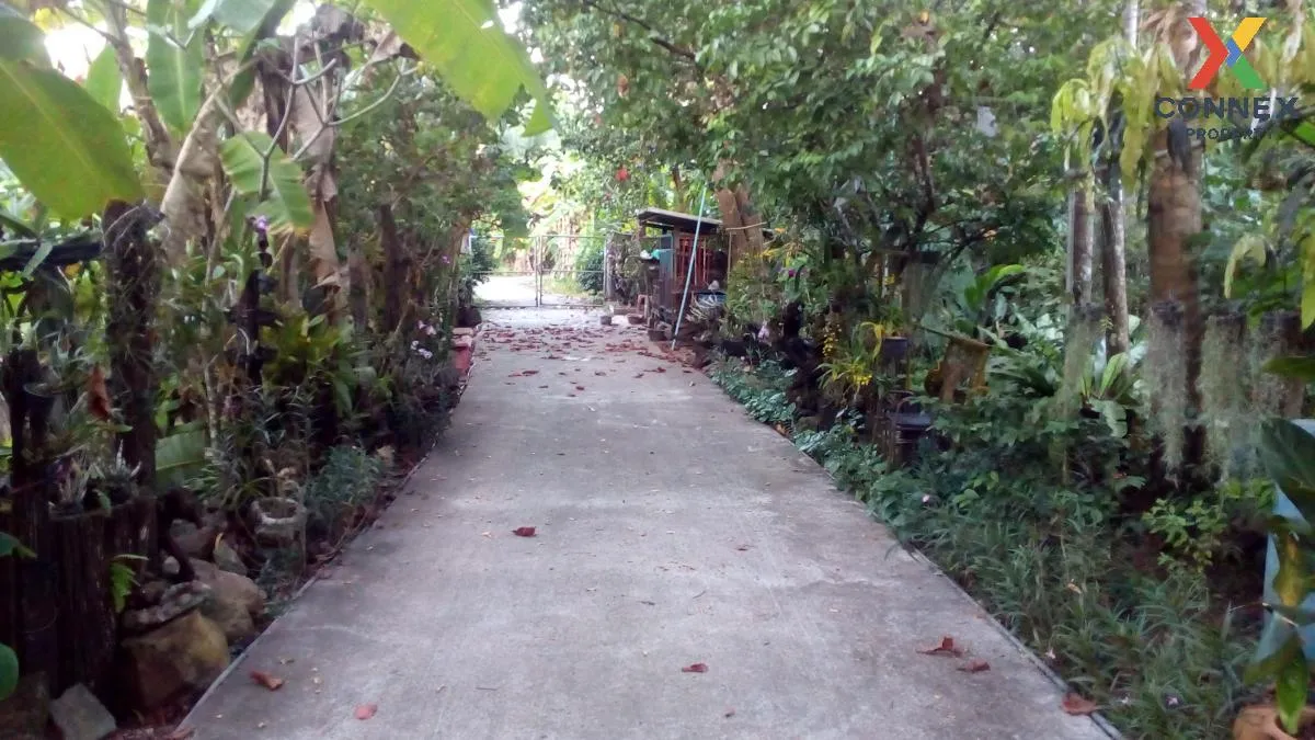 ขายบ้านเดี่ยว 2 ชั้น  ริมน้ำ ซอยชนเกษม 43 มะขามเตี้ย เมืองสุราษฎร ขายบ้านเดี่ยว 2 ชั้น  ริมน้ำ ซอยชนเกษม 43 มะขามเตี้ย เมืองสุราษฎร