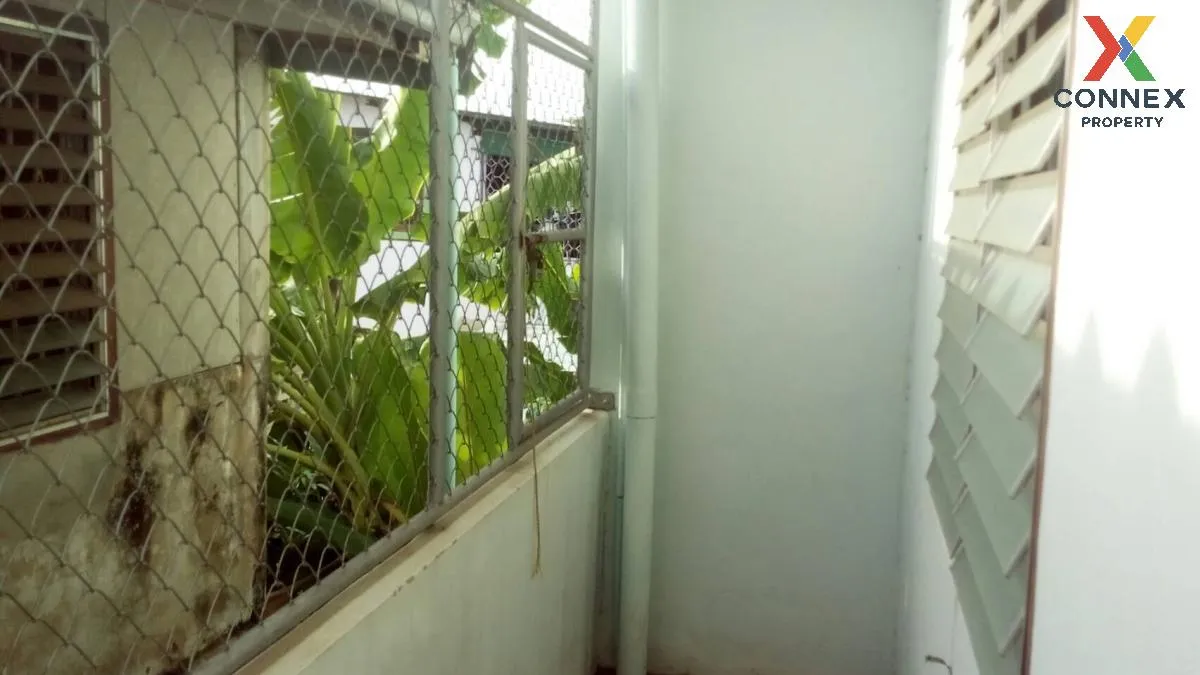 ขายทาวน์โฮม 2 ชั้น 18 ตารางวา ซอย ตอนนก 11 สุราษฎร์ธานี มะขามเตี้ ขายทาวน์โฮม 2 ชั้น 18 ตารางวา ซอย ตอนนก 11 สุราษฎร์ธานี มะขามเตี้