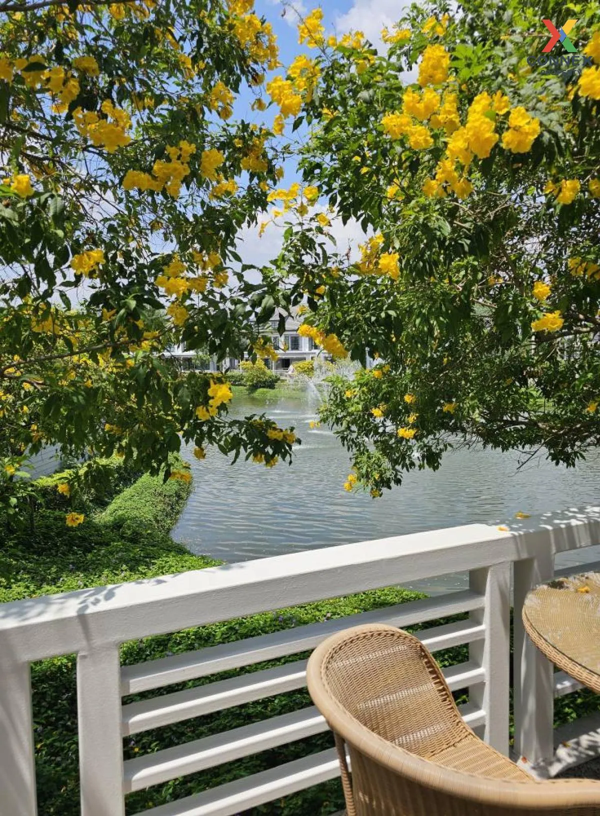 ขายบ้าน  บุราสิริ ปัญญาอินทรา บางชัน เขต คลองสามวา กรุงเทพ CX-117