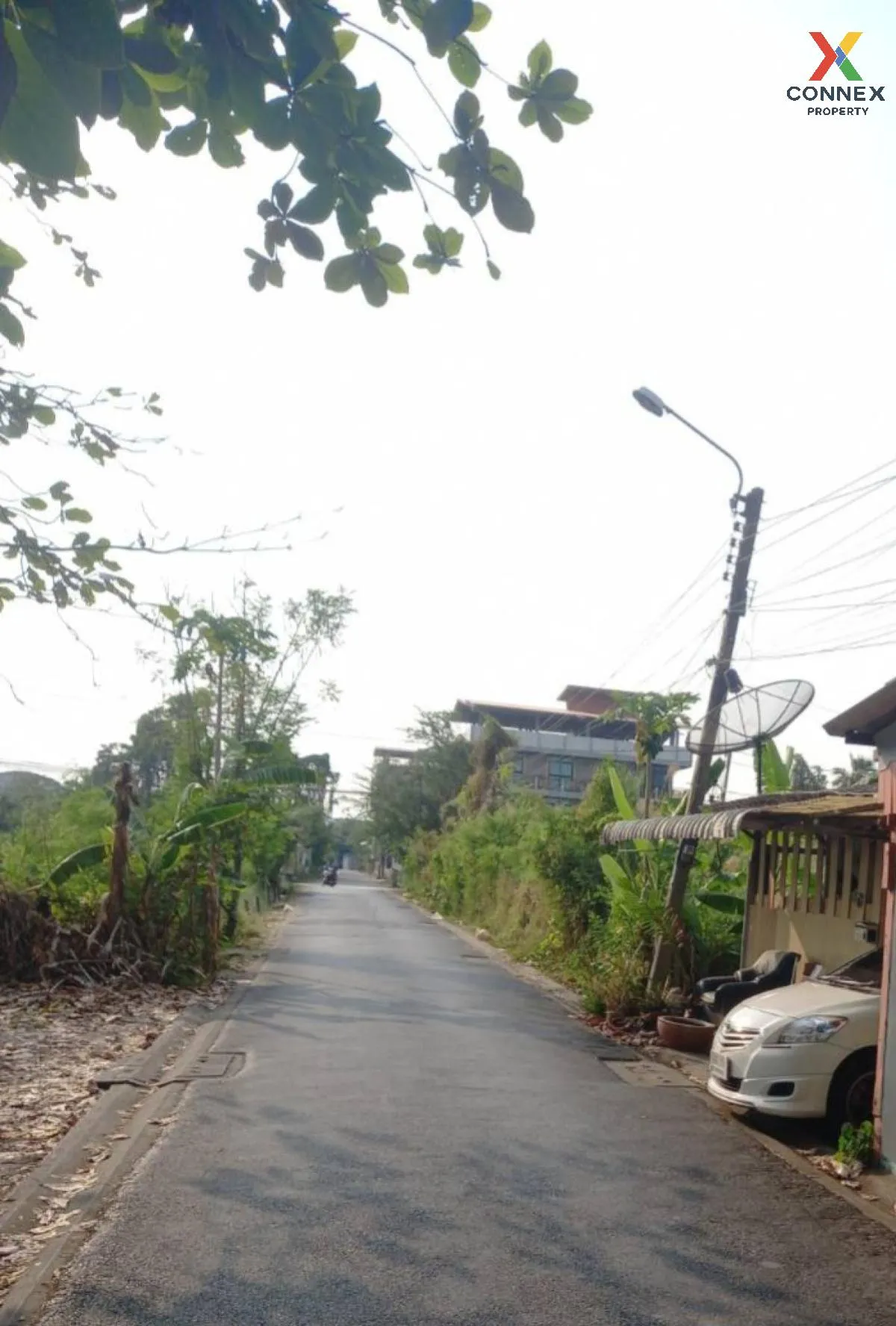 ขายบ้านเดี่ยว สวัสดิการ2ซอย4 หนองแขม เขต หนองแขม กรุงเทพ CX-11831