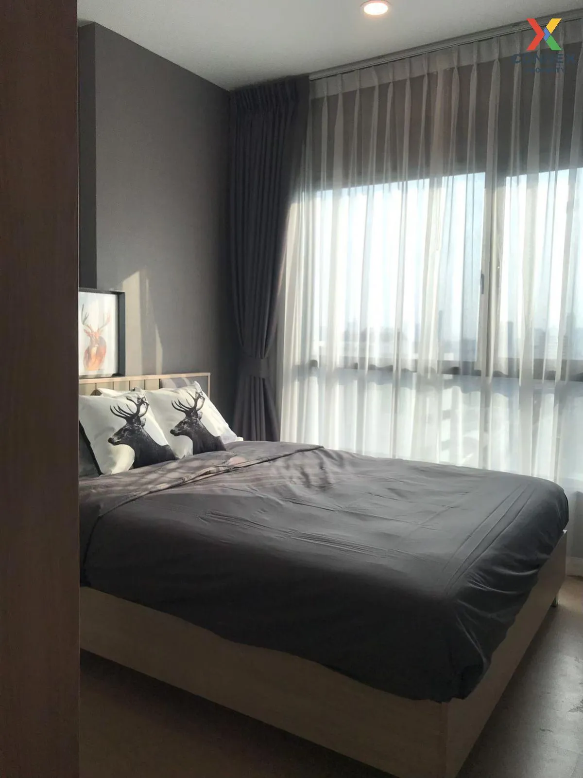 For Rent Condo , The Tree Sukhumvit 71 , ARL-Ramkhamhaeng , Suan 