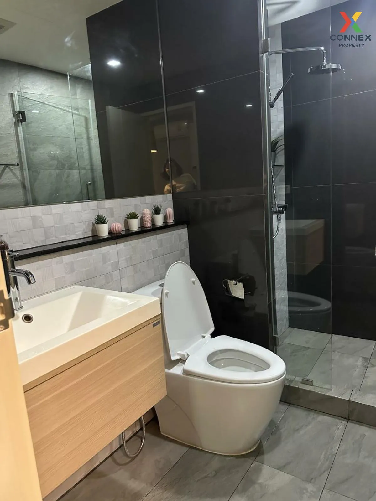 For Rent Condo , Tree Condo Sukhumvit 50 , BTS-On Nut , Phra Khan