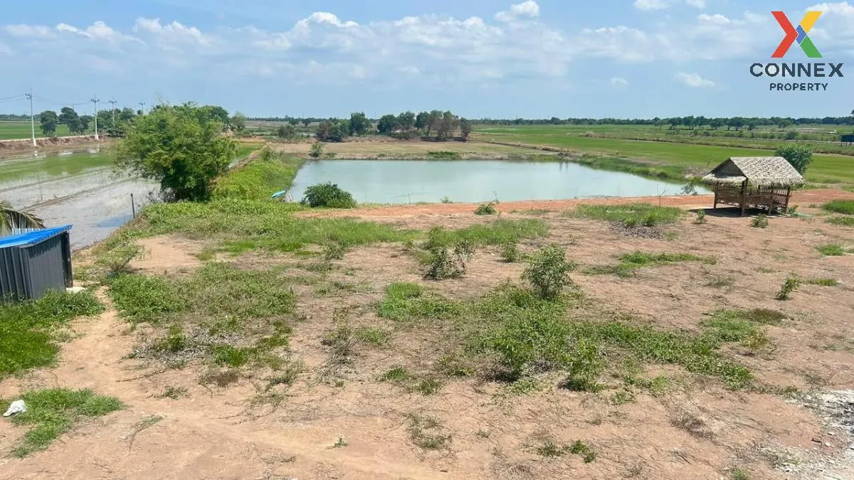 ขายที่ดินพร้อมสิ่งปลุกสร้าง บางยาง บ้านสร้าง ปราจีนบุรี CX-118844 ขายที่ดินพร้อมสิ่งปลุกสร้าง บางยาง บ้านสร้าง ปราจีนบุรี CX-118844