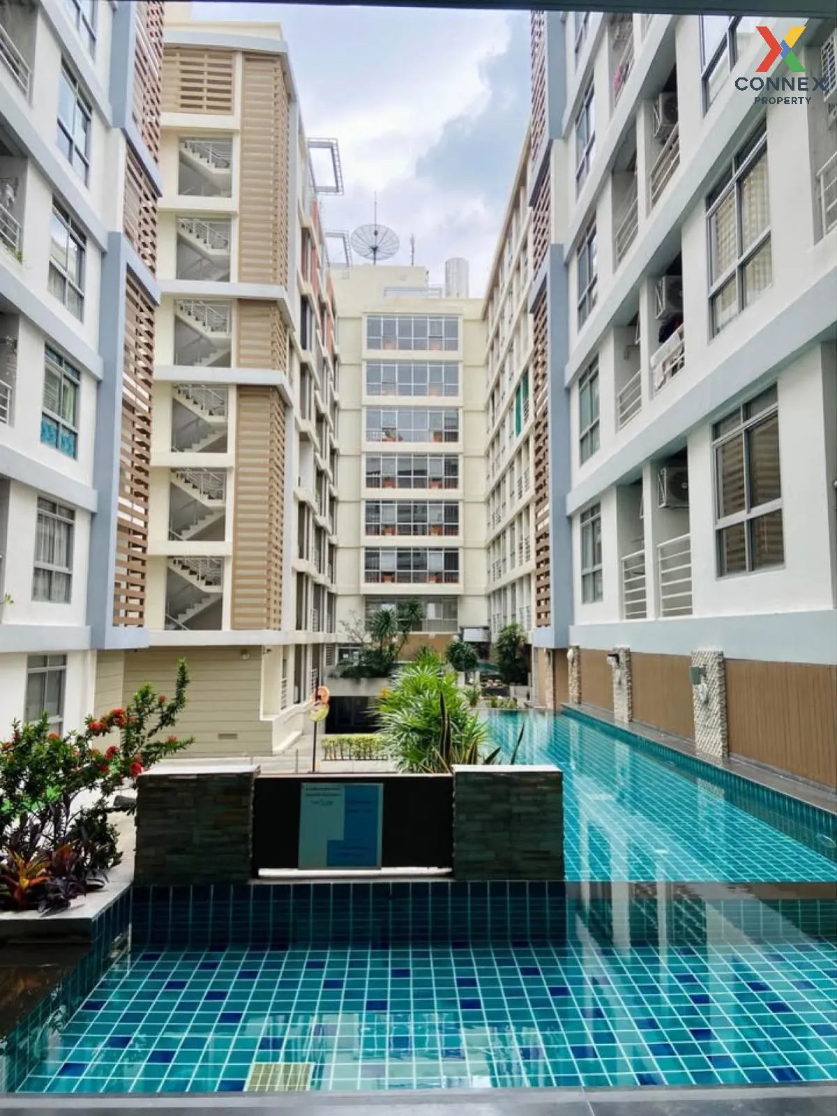 For Sale Condo , The Link Sukhumvit 50 , BTS-On Nut , Phra Khanon