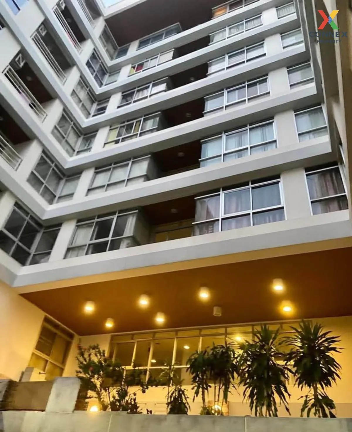 For Sale Condo , The Link Sukhumvit 50 , BTS-On Nut , Phra Khanon