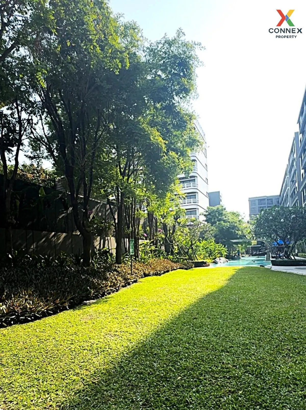 เช่าคอนโด  มาร์เวสท์ หัวหิน วิวสวย หัวหิน หัวหิน ประจวบคีรีขันธ์  เช่าคอนโด  มาร์เวสท์ หัวหิน วิวสวย หัวหิน หัวหิน ประจวบคีรีขันธ์