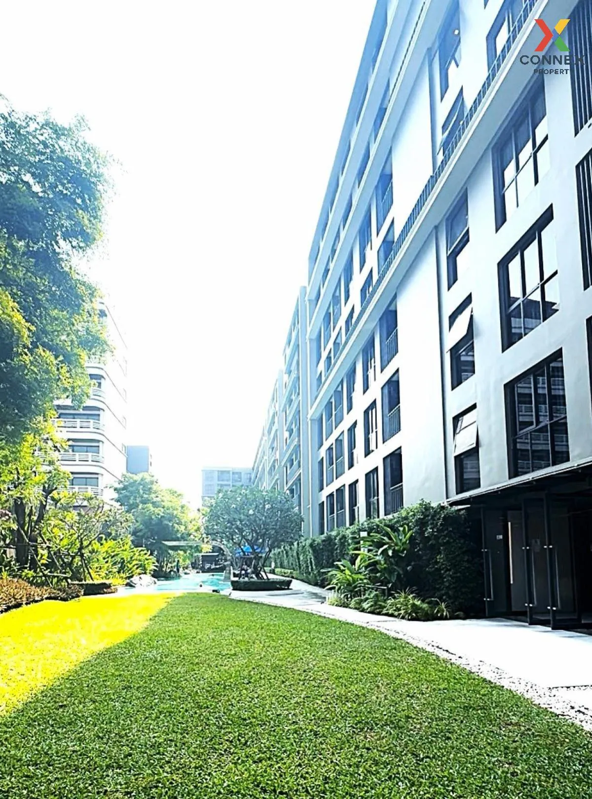 เช่าคอนโด  มาร์เวสท์ หัวหิน วิวสวย หัวหิน หัวหิน ประจวบคีรีขันธ์  เช่าคอนโด  มาร์เวสท์ หัวหิน วิวสวย หัวหิน หัวหิน ประจวบคีรีขันธ์