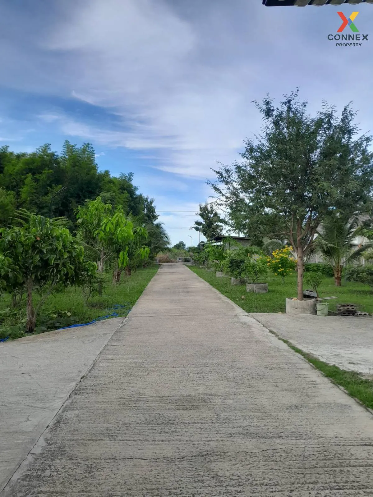 บ้านส่วนตัว เขาหินเหล็กไฟ หัวหิน CX-118995