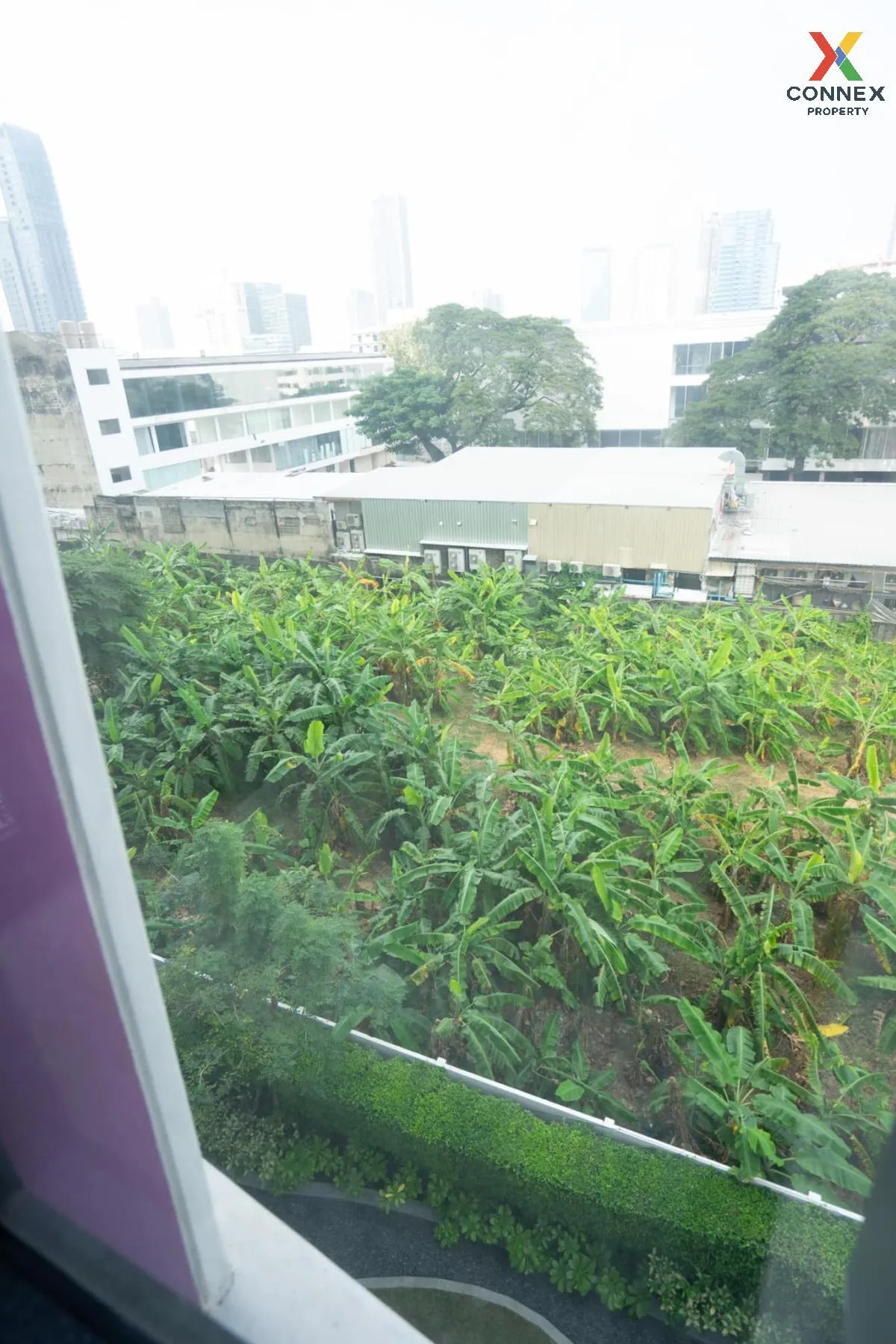 For Rent Condo , XT Ekkamai , BTS-Ekkamai , Khlong Tan Nuea , Wat