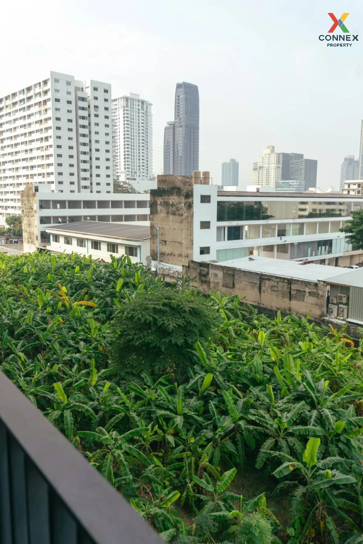 For Rent Condo , XT Ekkamai , BTS-Ekkamai , Khlong Tan Nuea , Wat