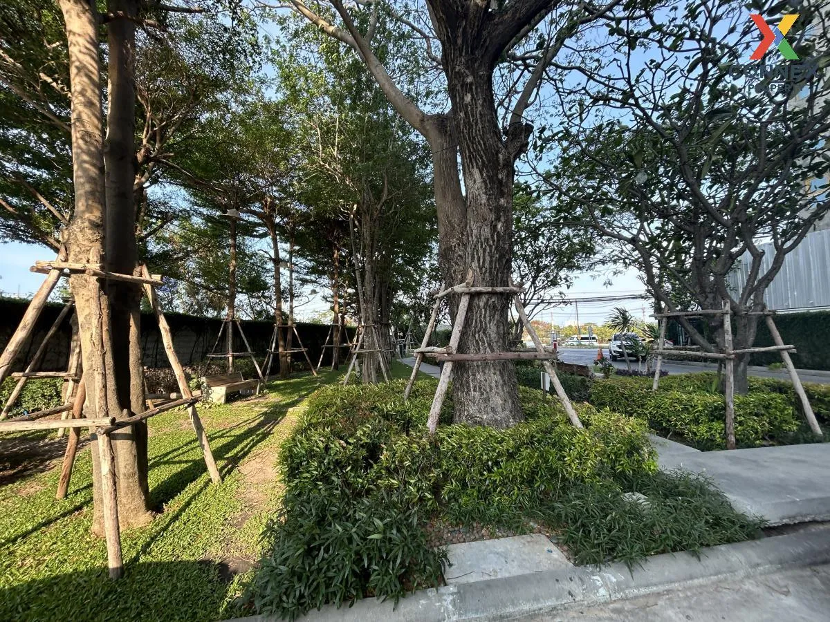 ขายคอนโด  บ้านเคียงฟ้า หนองแก หัวหิน ประจวบคีรีขันธ์ CX-119036 ขายคอนโด  บ้านเคียงฟ้า หนองแก หัวหิน ประจวบคีรีขันธ์ CX-119036