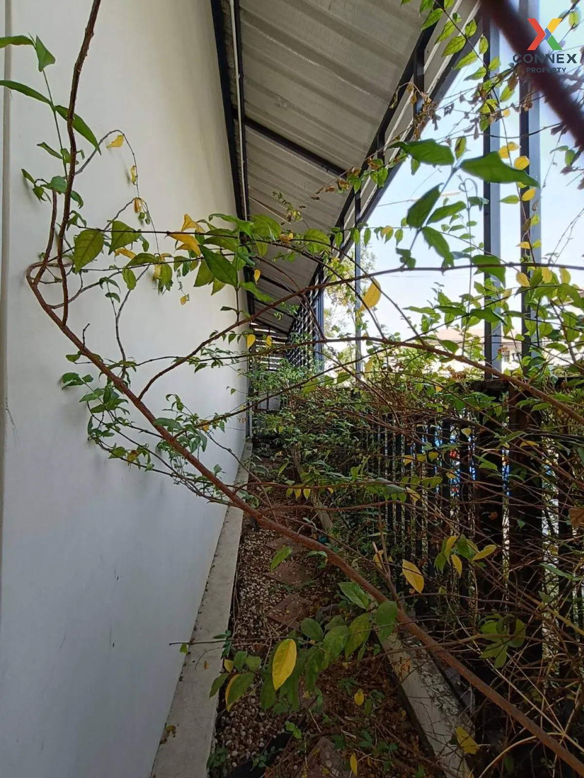 For Sale Townhouse/Townhome  , Pruksa Ville 99 Phetkasem 91-93 ,  For Sale Townhouse/Townhome  , Pruksa Ville 99 Phetkasem 91-93 ,