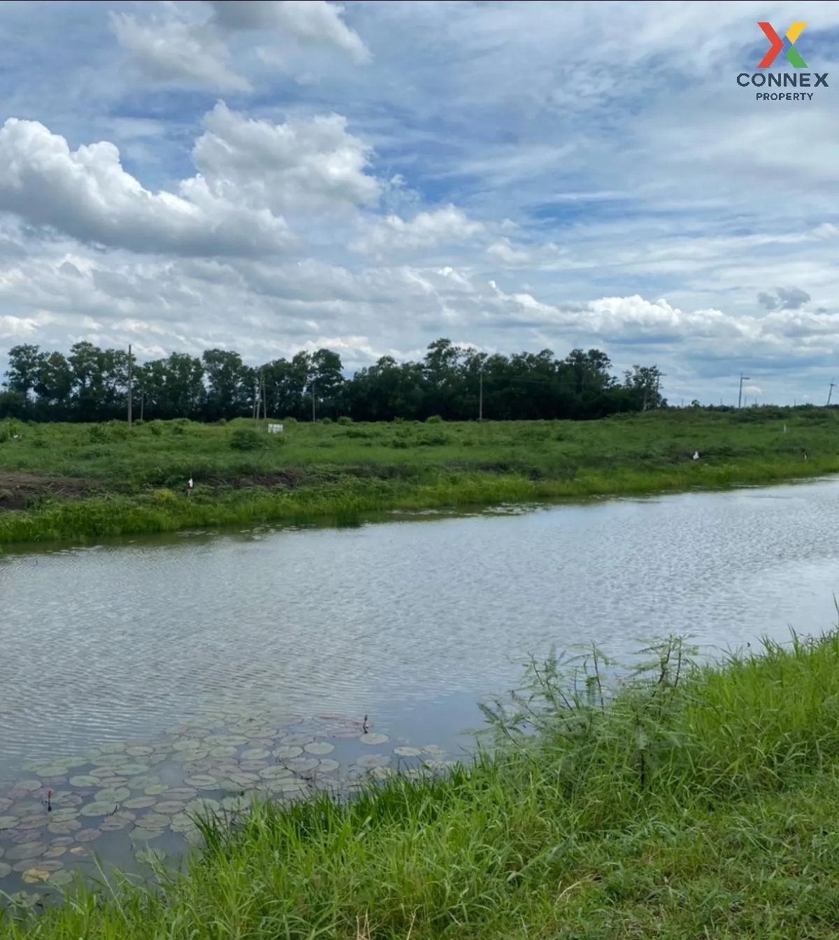 ขายที่ดินเปล่าบ้านนา บางอ้อ บ้านนา นครนายก CX-119387 3