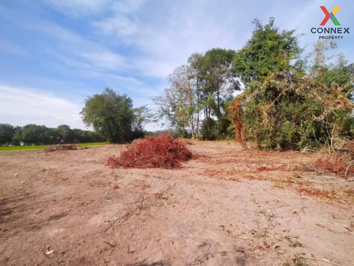 ขายที่ดินเปล่า นครนายก สาริกา เมืองนครนายก นครนายก CX-119629 1