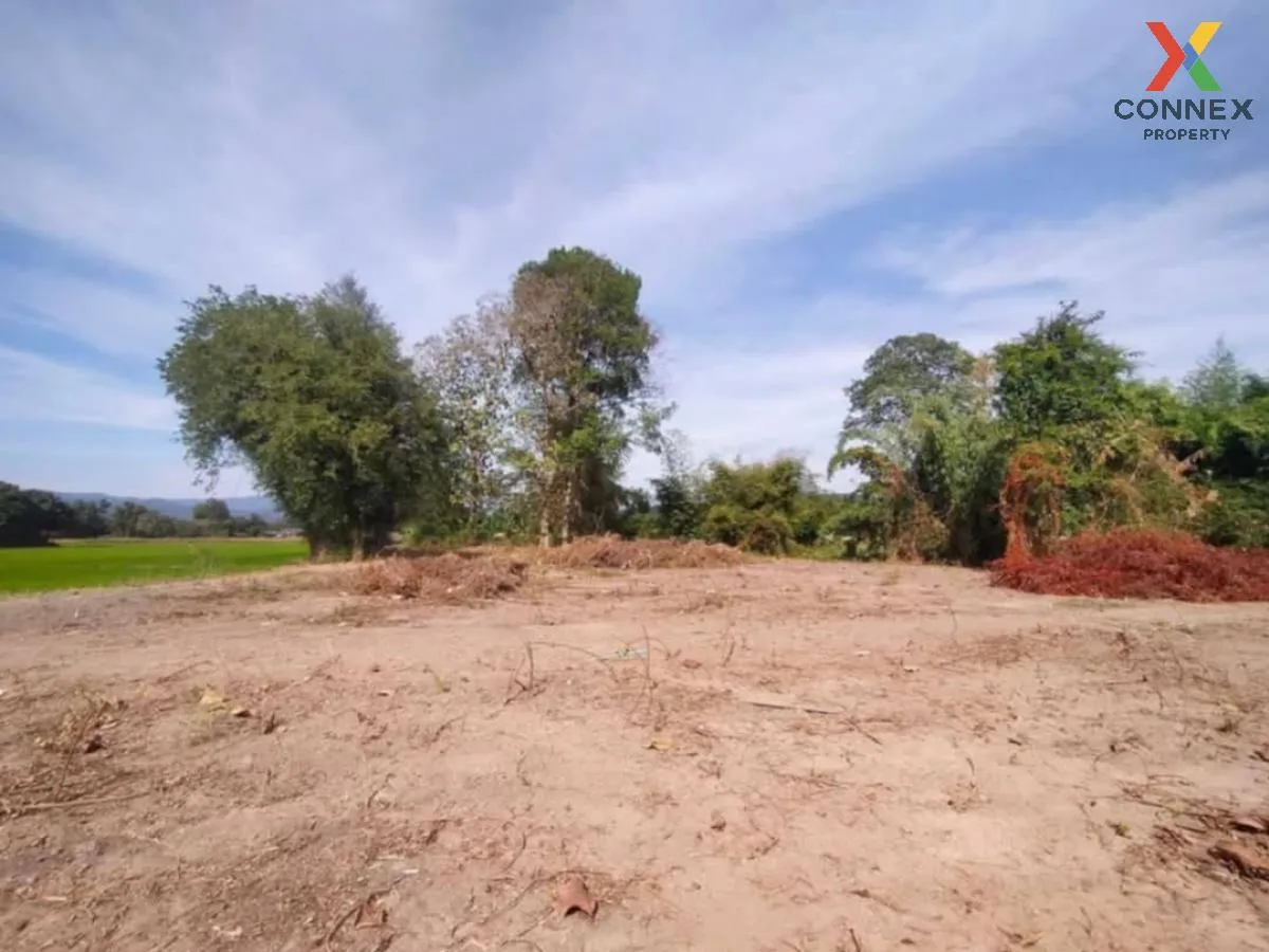 ขายที่ดินเปล่า นครนายก สาริกา เมืองนครนายก นครนายก CX-119629 2