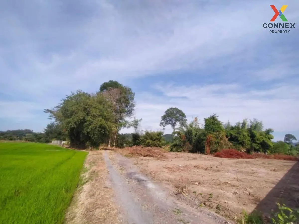 ขายที่ดินเปล่า นครนายก สาริกา เมืองนครนายก นครนายก CX-119629