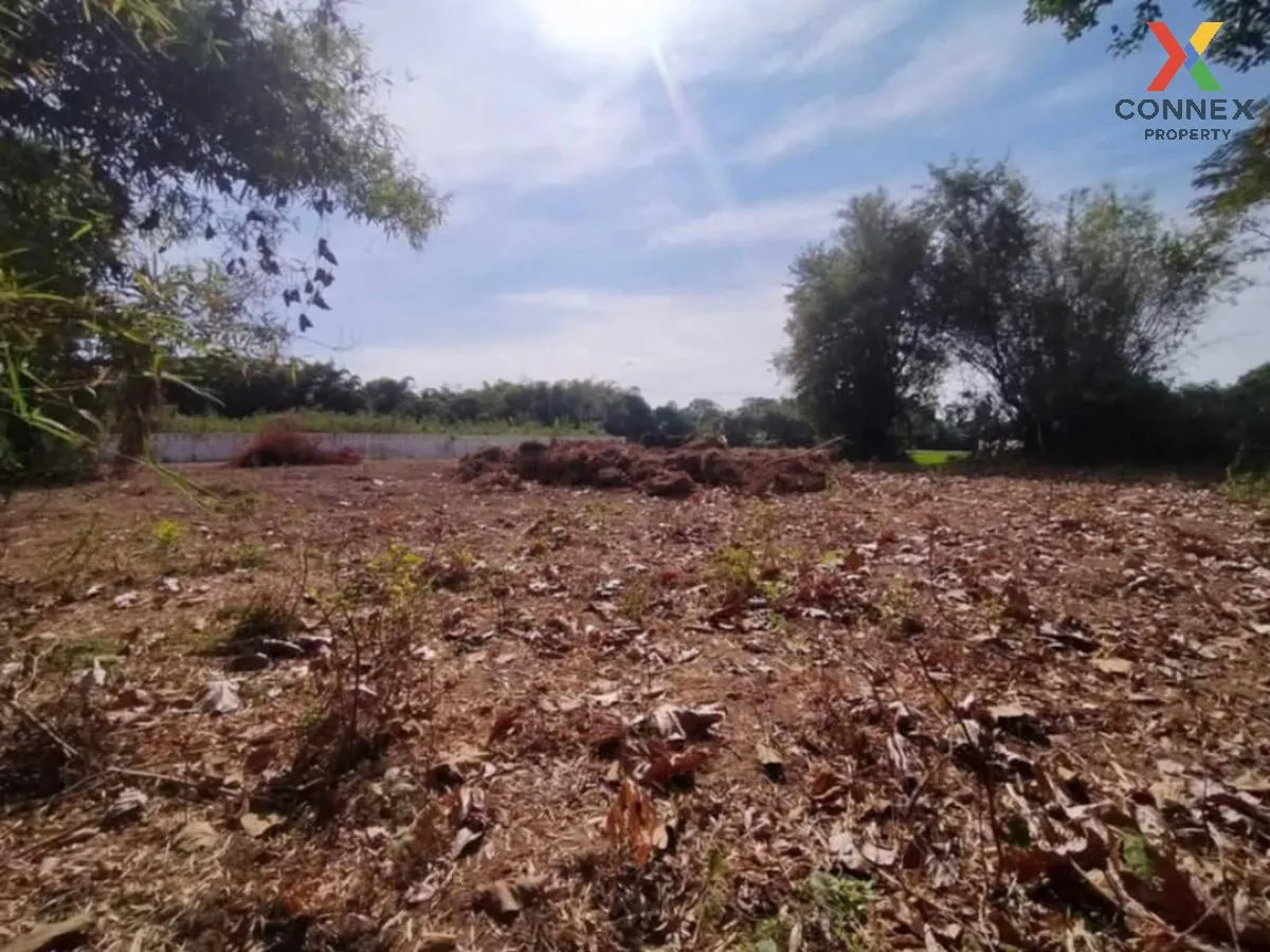 ขายที่ดินเปล่า นครนายก สาริกา เมืองนครนายก นครนายก CX-119629