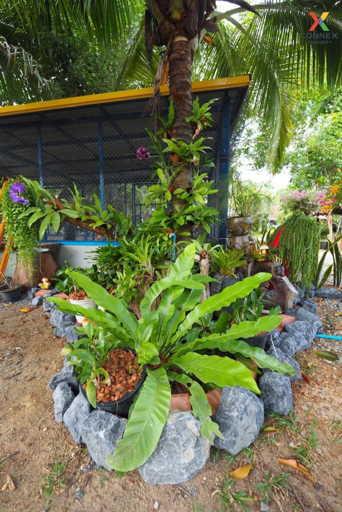 For Rent Villa Chalong Phuket , Chalong , Mueang Phuket , Phuket 