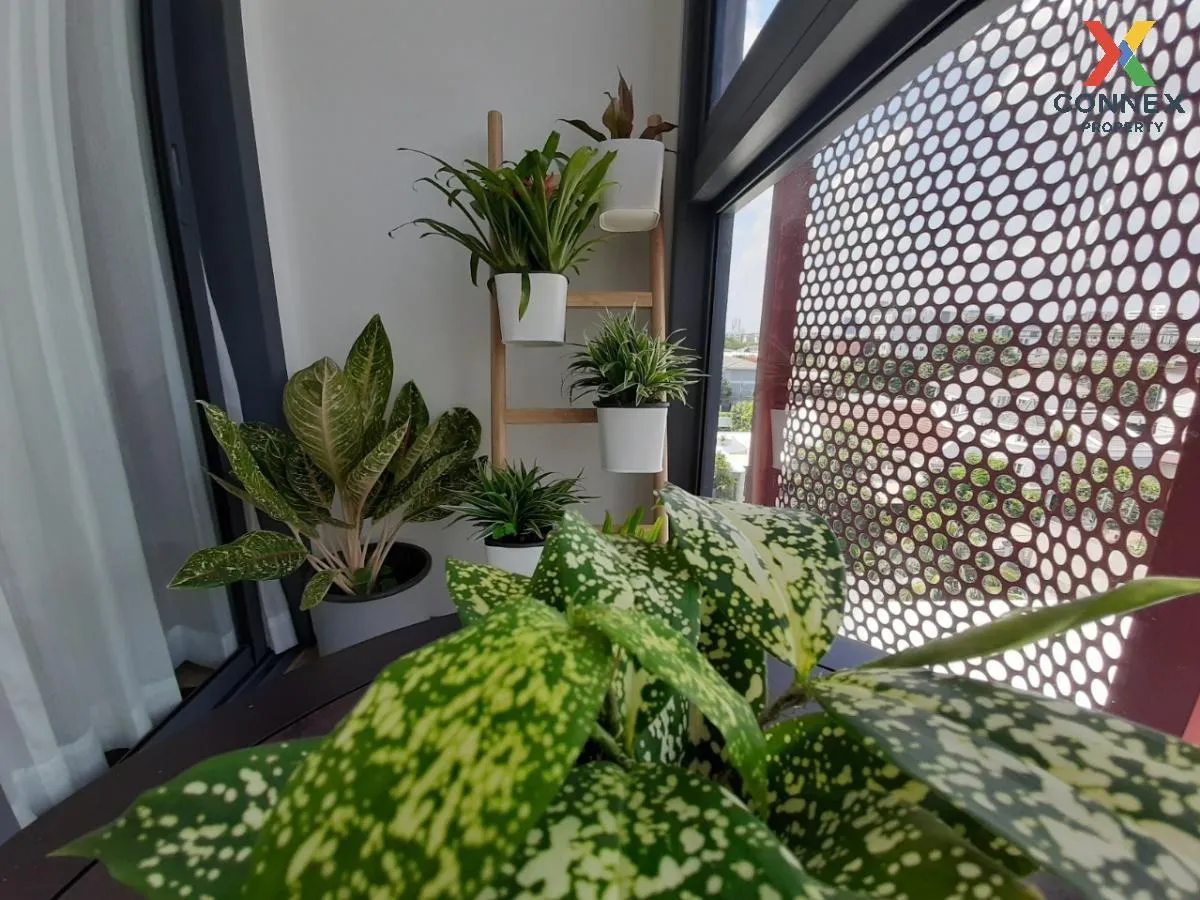 ขายคอนโด  ทากะ เฮาส์ เอกมัย 12 BTS-เอกมัย คลองตันเหนือ เขต วัฒนา  ขายคอนโด  ทากะ เฮาส์ เอกมัย 12 BTS-เอกมัย คลองตันเหนือ เขต วัฒนา