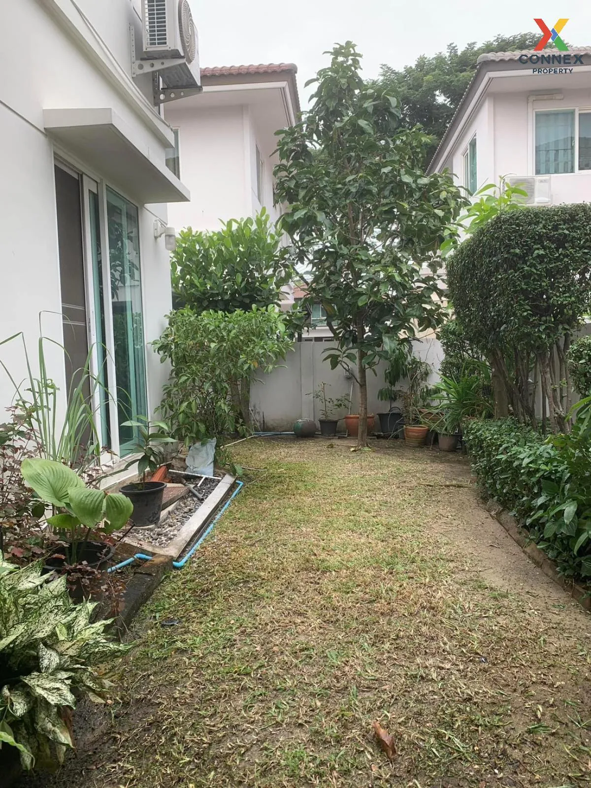 ขายบ้าน  พฤกษ์ลดา 3 รังสิต-คลอง 4 ลาดสวาย ลำลูกกา ปทุมธานี CX-119 4