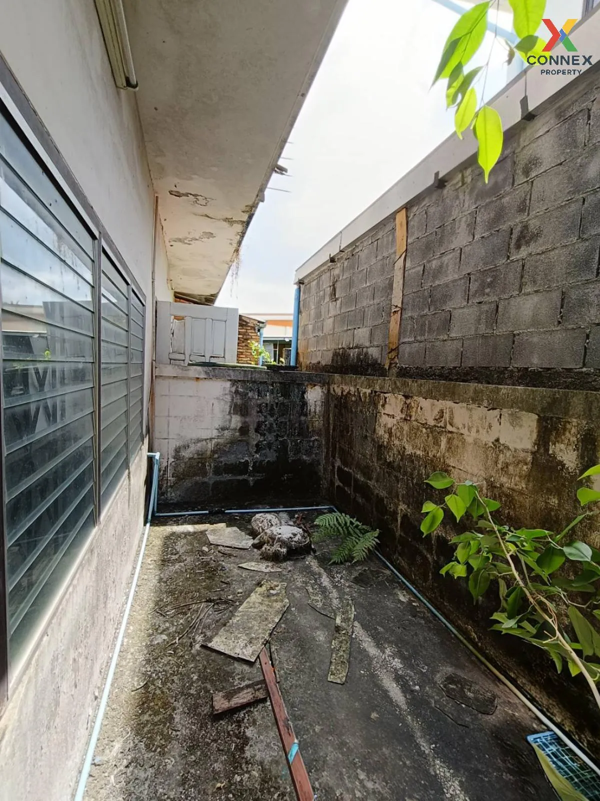 ขายทาวน์เฮ้าส์ เมืองสุราษฎร์ธานี-พ่อขุนทะเล มะขามเตี้ย เมืองสุราษ ขายทาวน์เฮ้าส์ เมืองสุราษฎร์ธานี-พ่อขุนทะเล มะขามเตี้ย เมืองสุราษ