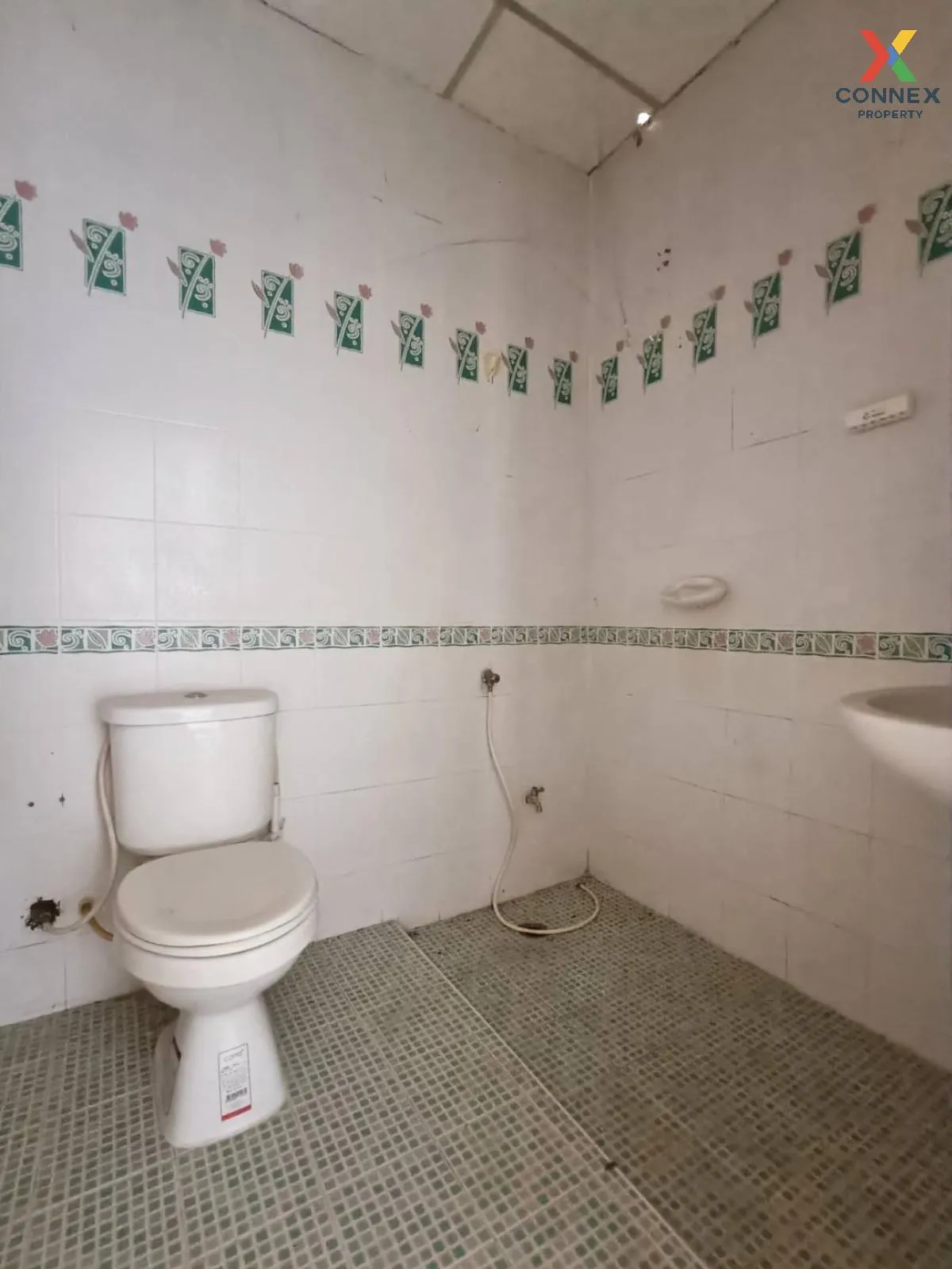 ขายทาวน์เฮ้าส์ เมืองสุราษฎร์ธานี-พ่อขุนทะเล มะขามเตี้ย เมืองสุราษ ขายทาวน์เฮ้าส์ เมืองสุราษฎร์ธานี-พ่อขุนทะเล มะขามเตี้ย เมืองสุราษ