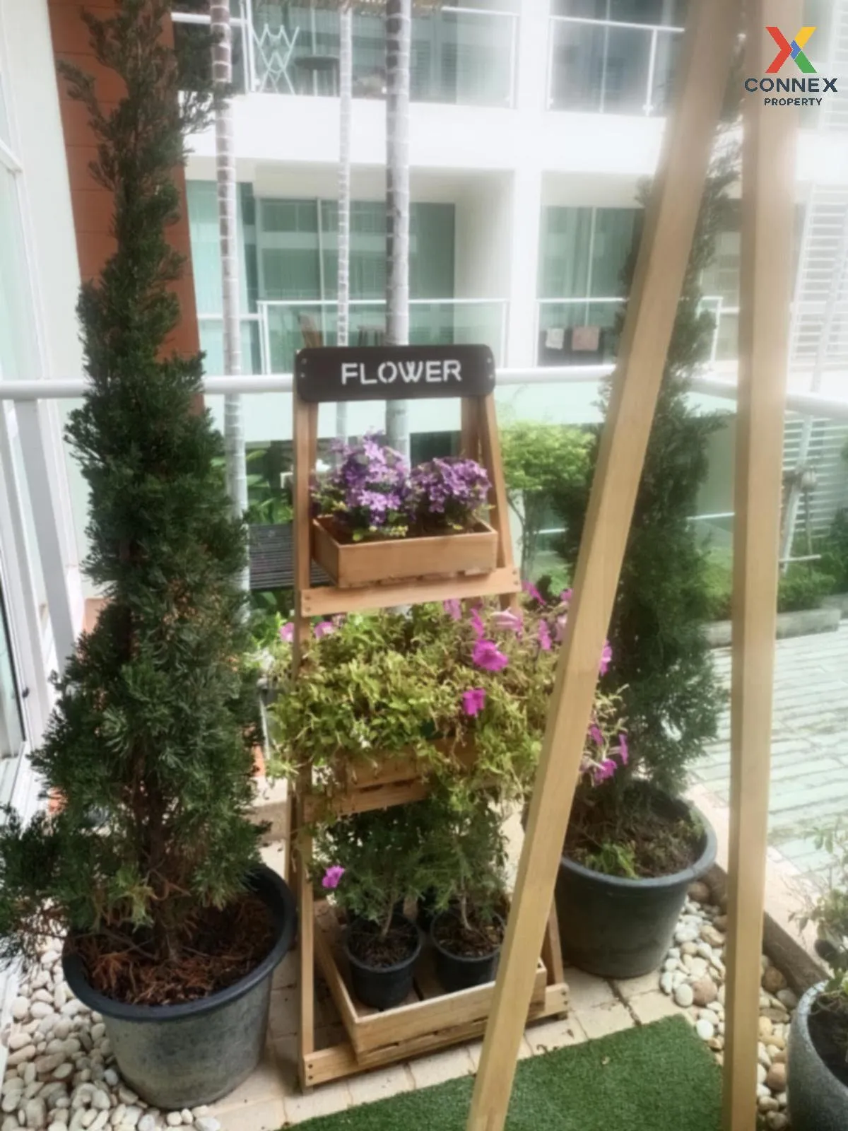 เช่าคอนโด  เดอะ บรีซ คอนโด หัวหิน วิวสวย หนองแก หัวหิน ประจวบคีรี เช่าคอนโด  เดอะ บรีซ คอนโด หัวหิน วิวสวย หนองแก หัวหิน ประจวบคีรี