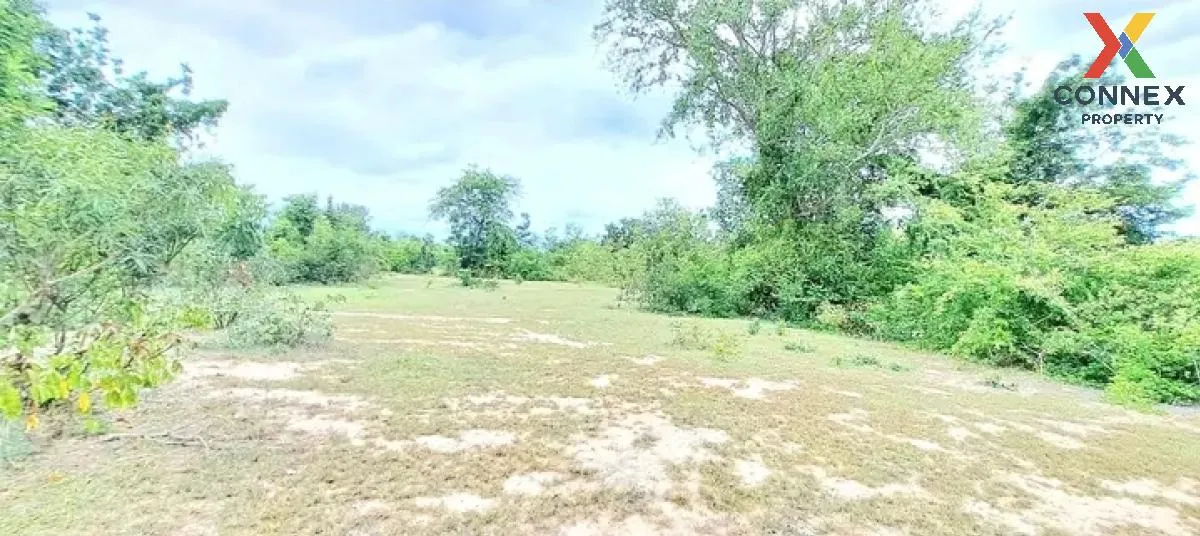 For Sale Land , Thap Tai , Hua Hin , Prachuap Khiri Khan , CX-120 For Sale Land , Thap Tai , Hua Hin , Prachuap Khiri Khan , CX-120 1