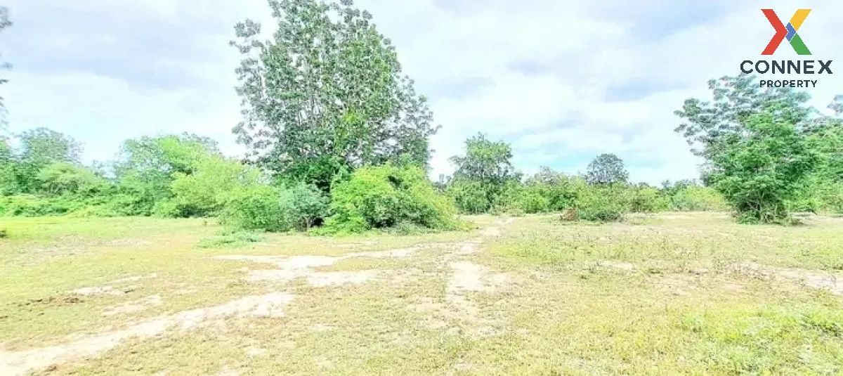 For Sale Land , Thap Tai , Hua Hin , Prachuap Khiri Khan , CX-120 For Sale Land , Thap Tai , Hua Hin , Prachuap Khiri Khan , CX-120 2