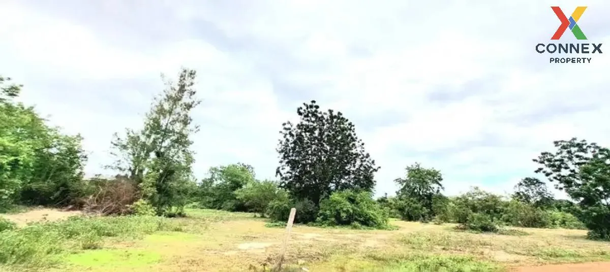 For Sale Land , Thap Tai , Hua Hin , Prachuap Khiri Khan , CX-120 For Sale Land , Thap Tai , Hua Hin , Prachuap Khiri Khan , CX-120 3