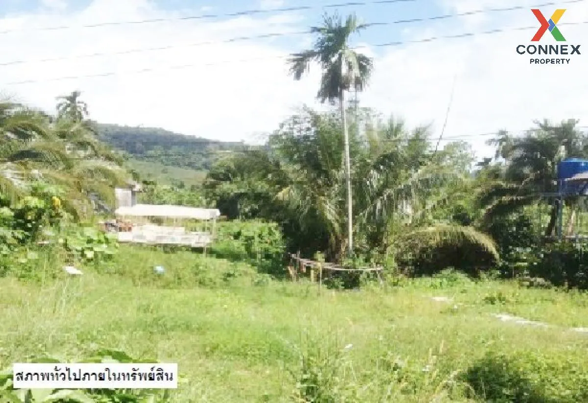 For Sale land 48 square wah Koh Lanta Krabi , Ko Lanta Yai , Ko L 1