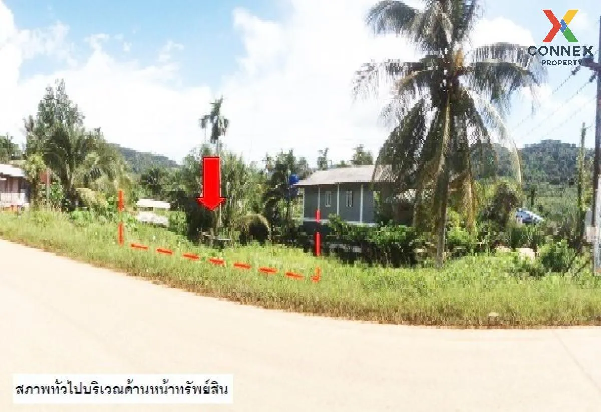 For Sale land 48 square wah Koh Lanta Krabi , Ko Lanta Yai , Ko L 2