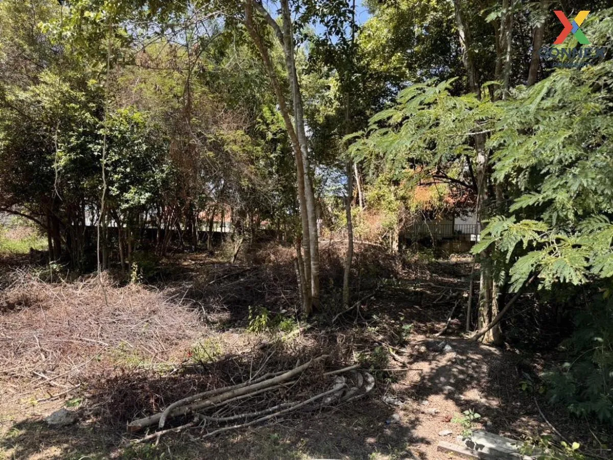 For Sale Vacant land Hua Hin , Hua Hin , Hua Hin , Prachuap Khiri 2