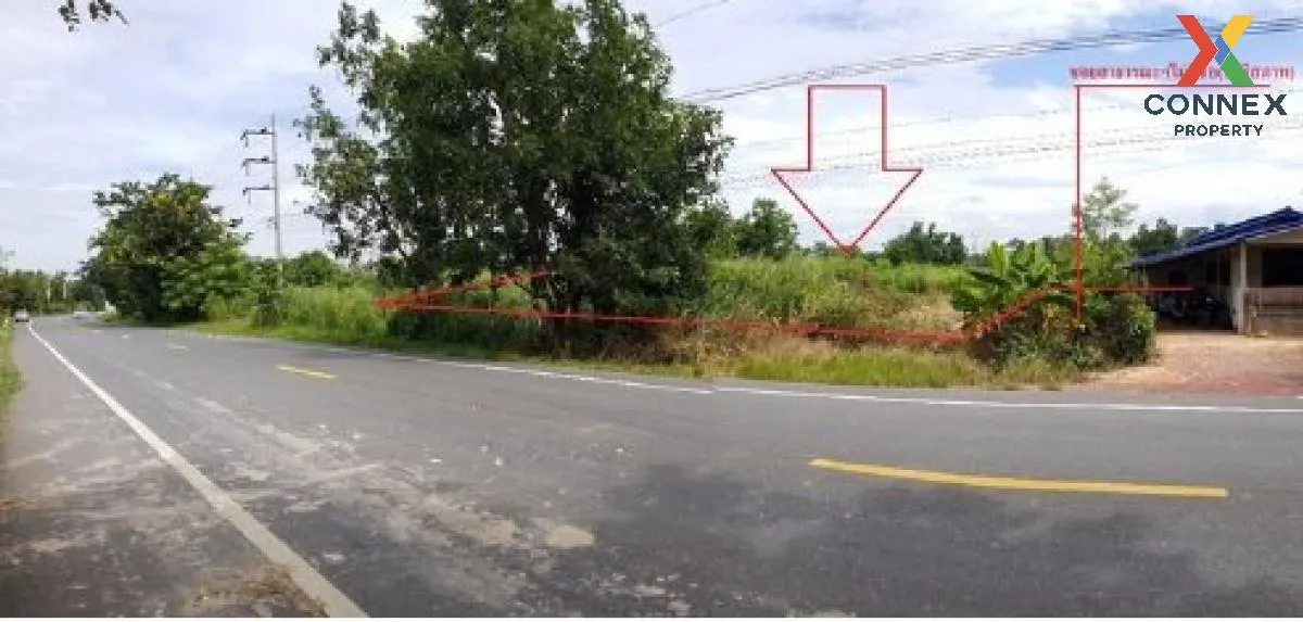 ขายที่ดินเปล่า  บ้านแม่ต๋ำ เทิง-พะเยา น้ำแวน เชียงคำ พะเยา CX-120 1