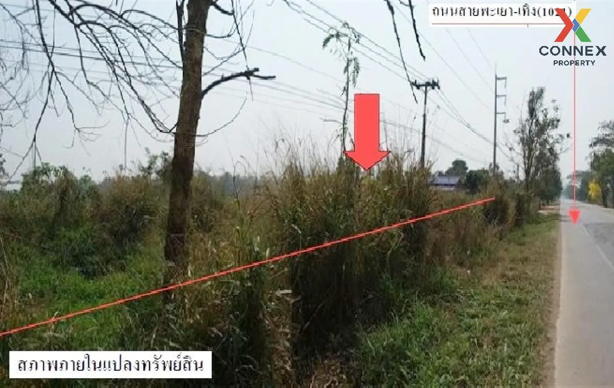 ขายที่ดินเปล่า  บ้านแม่ต๋ำ เทิง-พะเยา น้ำแวน เชียงคำ พะเยา CX-120