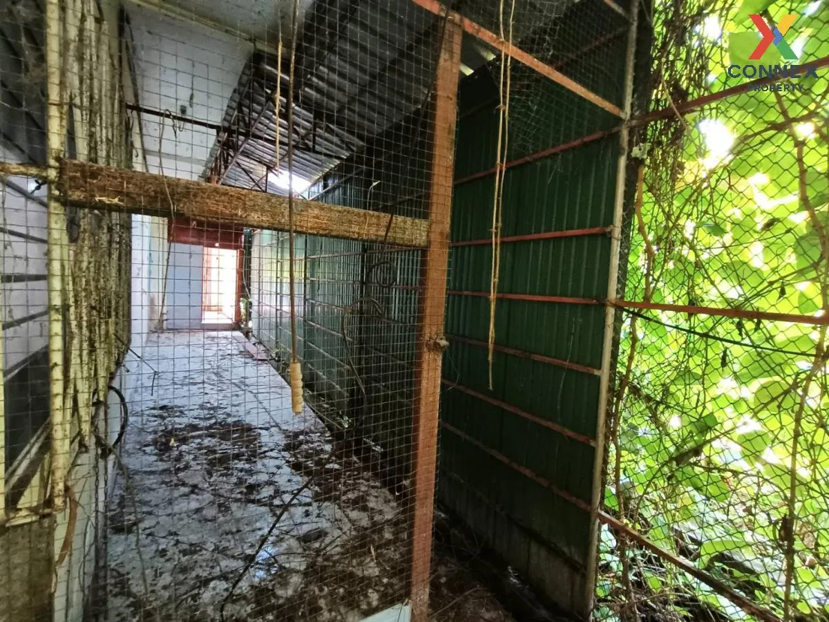 ขายบ้านเดี่ยว 2 ชั้น พร้อมกิจการ 582 ตารางเมตร สตูล CX-120861