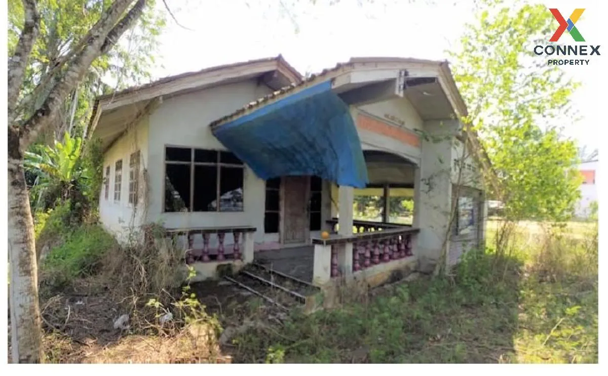 ขายบ้านเดี่ยว 1 ชั้น 232.90 ตารางวา พระแสง สุราษฎร์ธานี บางสวรรค์ ขายบ้านเดี่ยว 1 ชั้น 232.90 ตารางวา พระแสง สุราษฎร์ธานี บางสวรรค์ 1