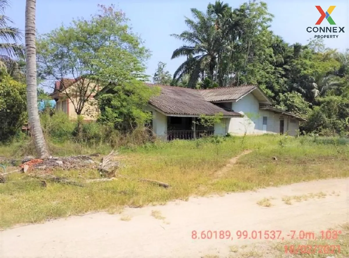 ขายบ้านเดี่ยว 1 ชั้น 232.90 ตารางวา พระแสง สุราษฎร์ธานี บางสวรรค์ ขายบ้านเดี่ยว 1 ชั้น 232.90 ตารางวา พระแสง สุราษฎร์ธานี บางสวรรค์ 2